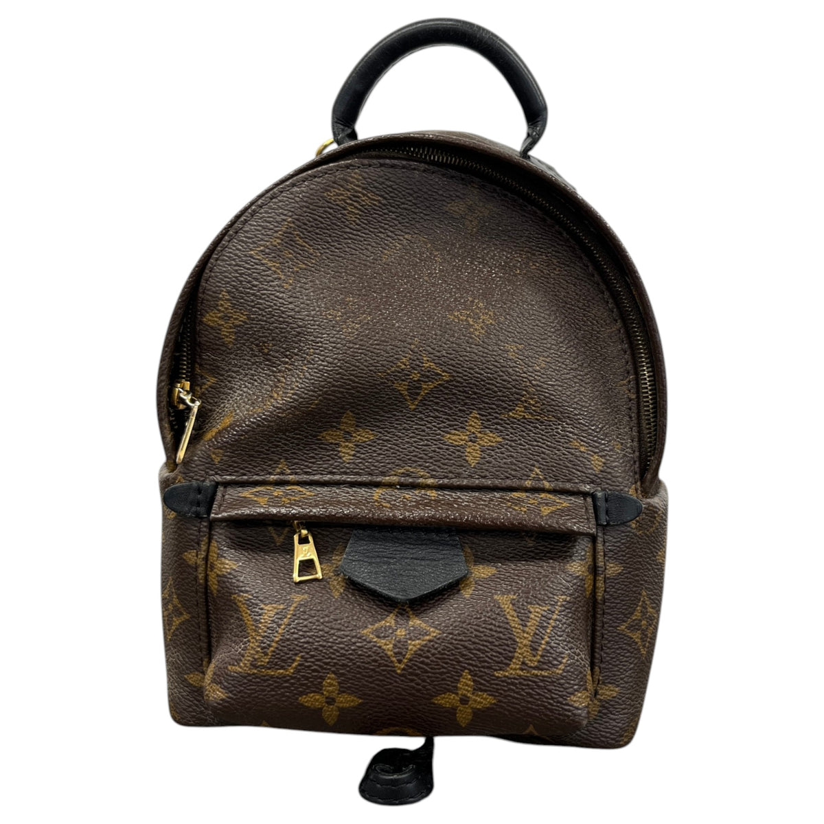 Women's Monogram Palm Springs Mini Backpack Brown - Photo 1