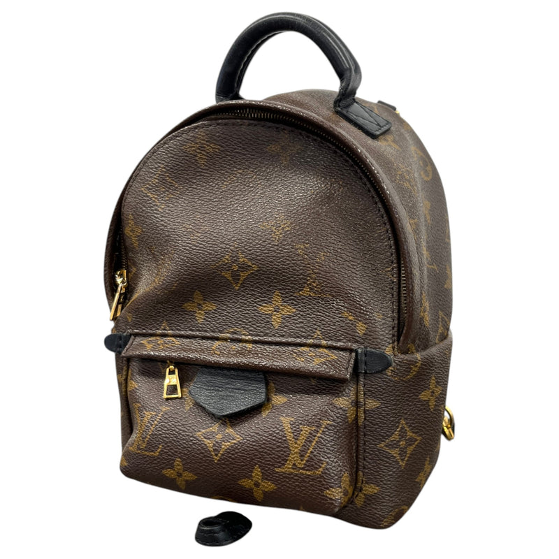 Women's Monogram Palm Springs Mini Backpack Brown