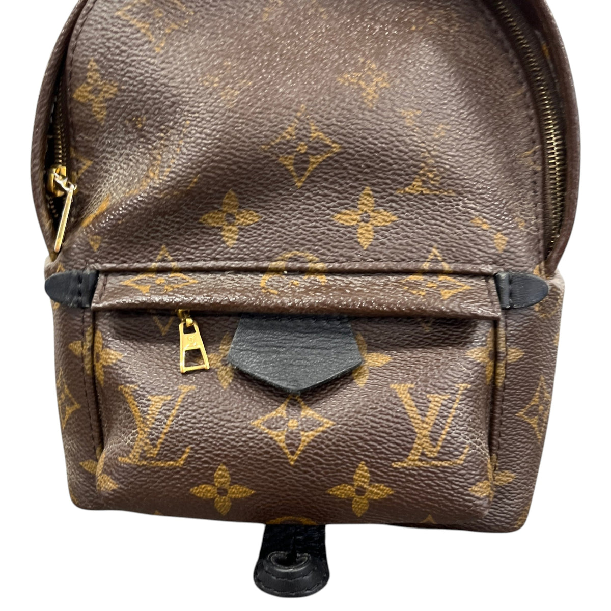Women's Monogram Palm Springs Mini Backpack Brown - Photo 11
