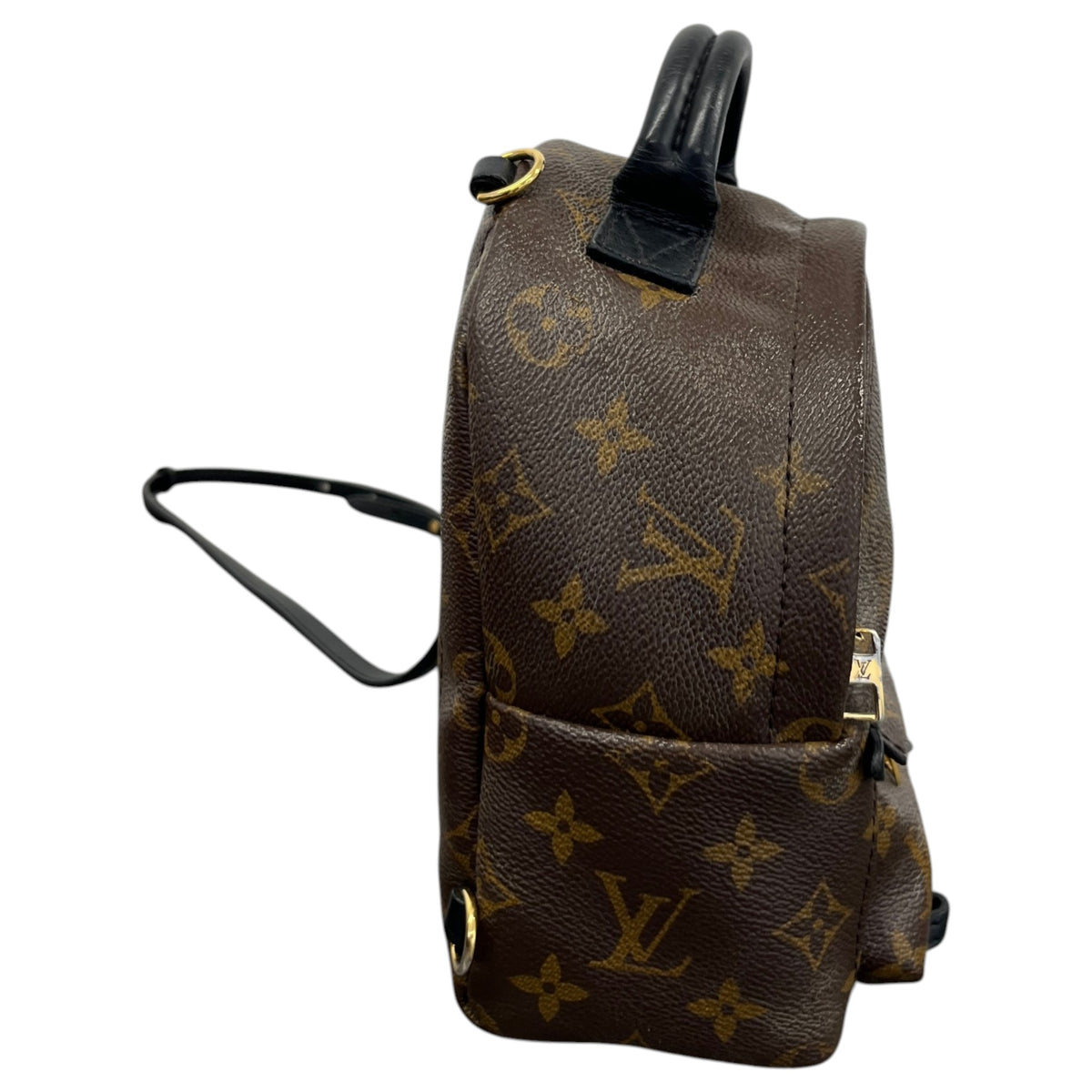 Women's Monogram Palm Springs Mini Backpack Brown - Photo 6