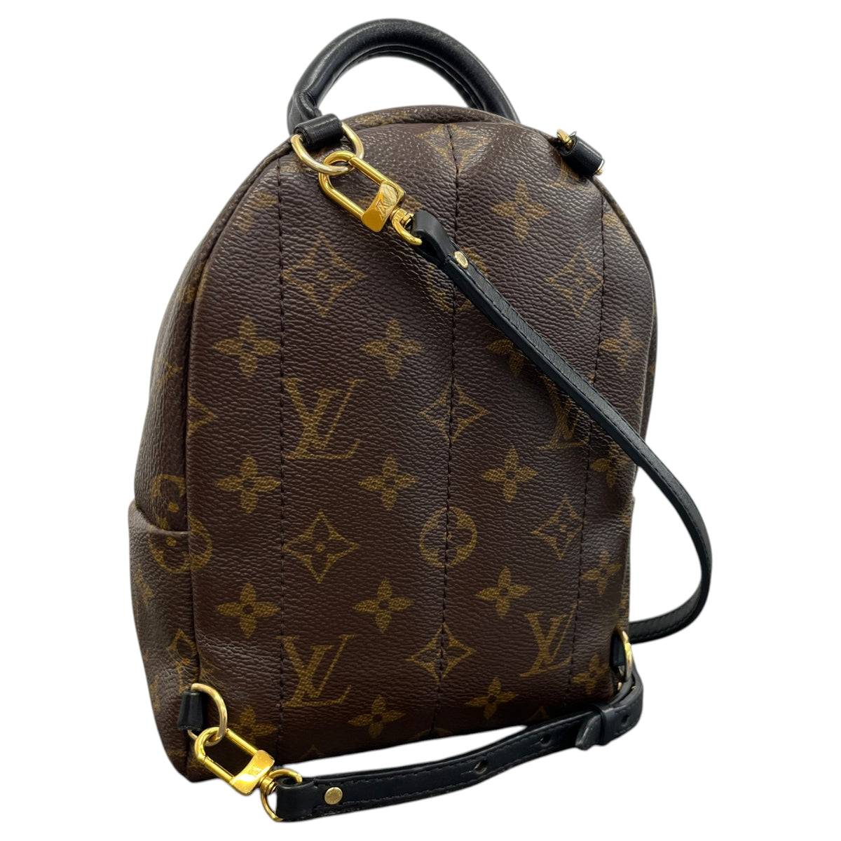 Women's Monogram Palm Springs Mini Backpack Brown - Photo 8