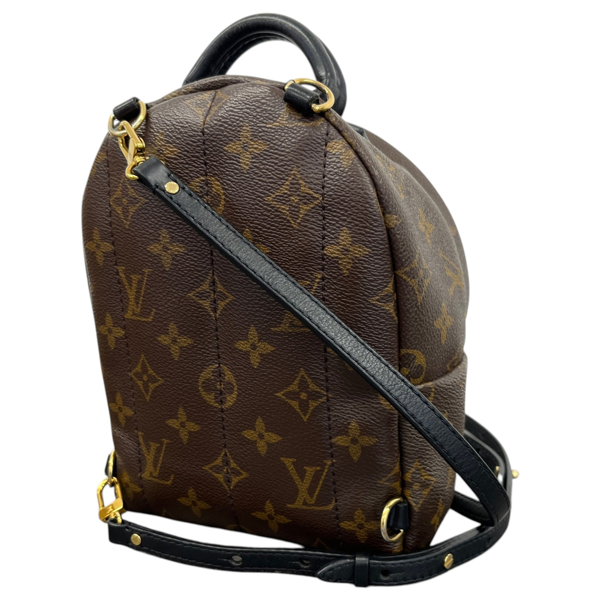 Women's Monogram Palm Springs Mini Backpack Brown - Photo 9