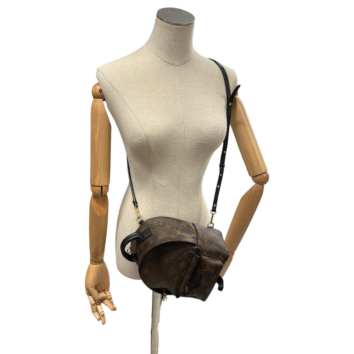 Women's Monogram Palm Springs Mini Backpack Brown - Photo 2