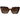 Women's Logo Sunglasses Beige