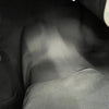 Thumbnail 15