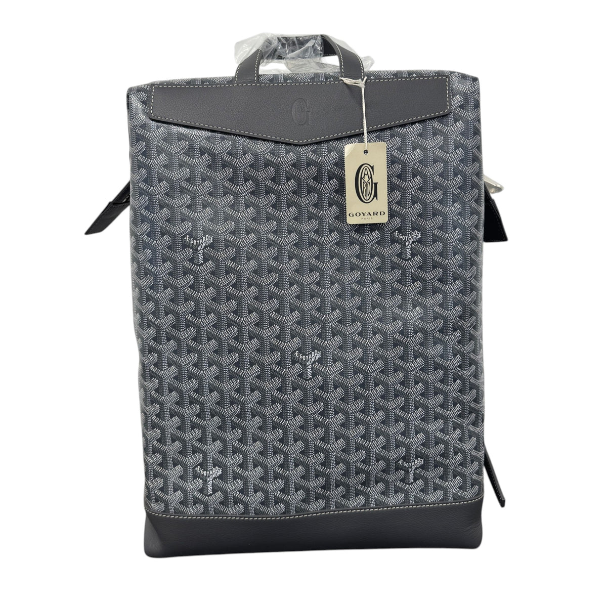 Men's Cisalpin Backpack Grey - Photo 1