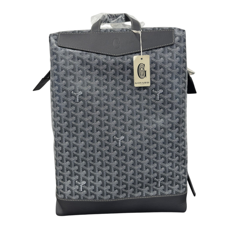 Men's Cisalpin Backpack Grey