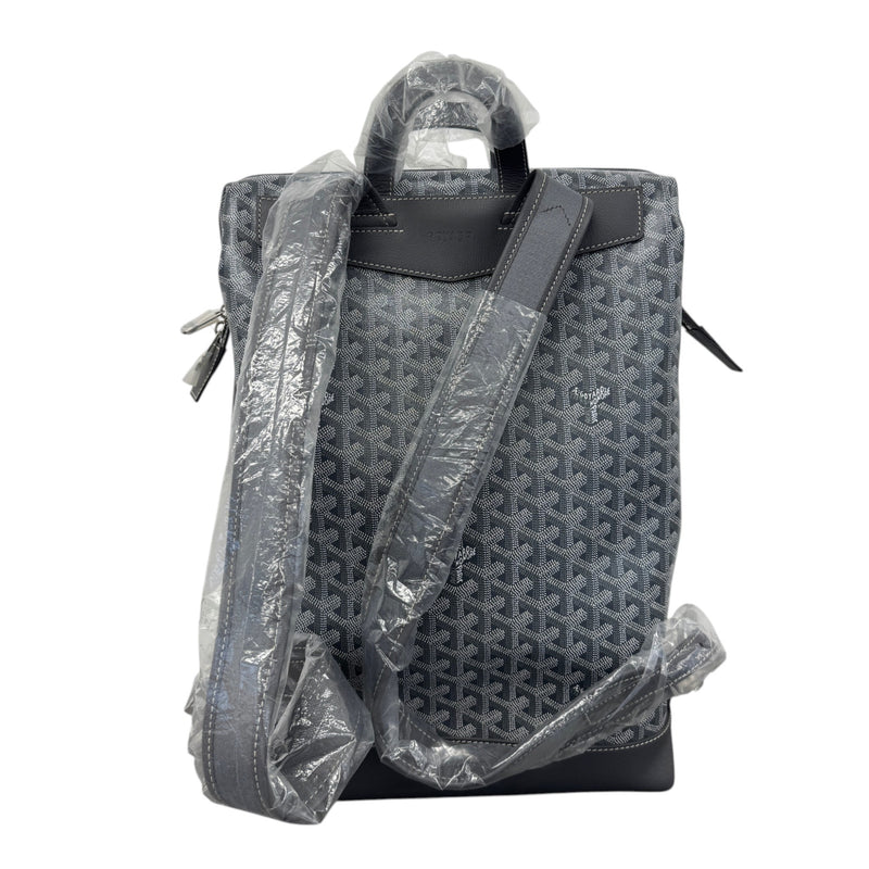 Men's Cisalpin Backpack Grey