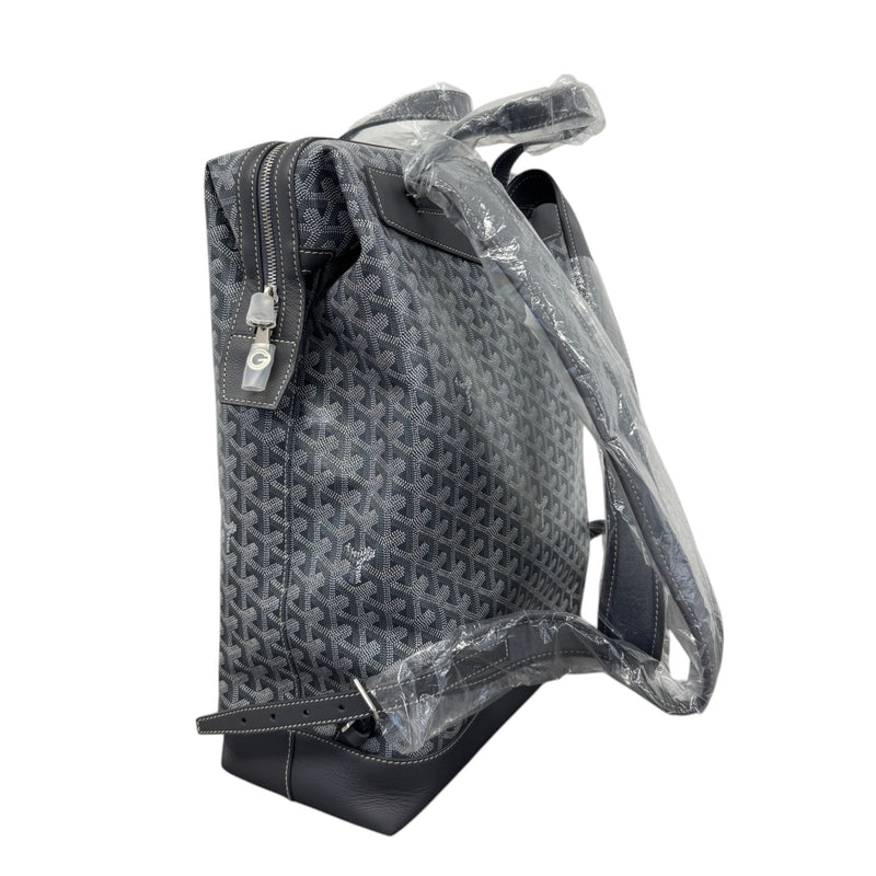 Men's Cisalpin Backpack Grey