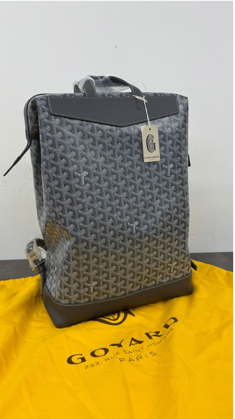 Men's Cisalpin Backpack Grey