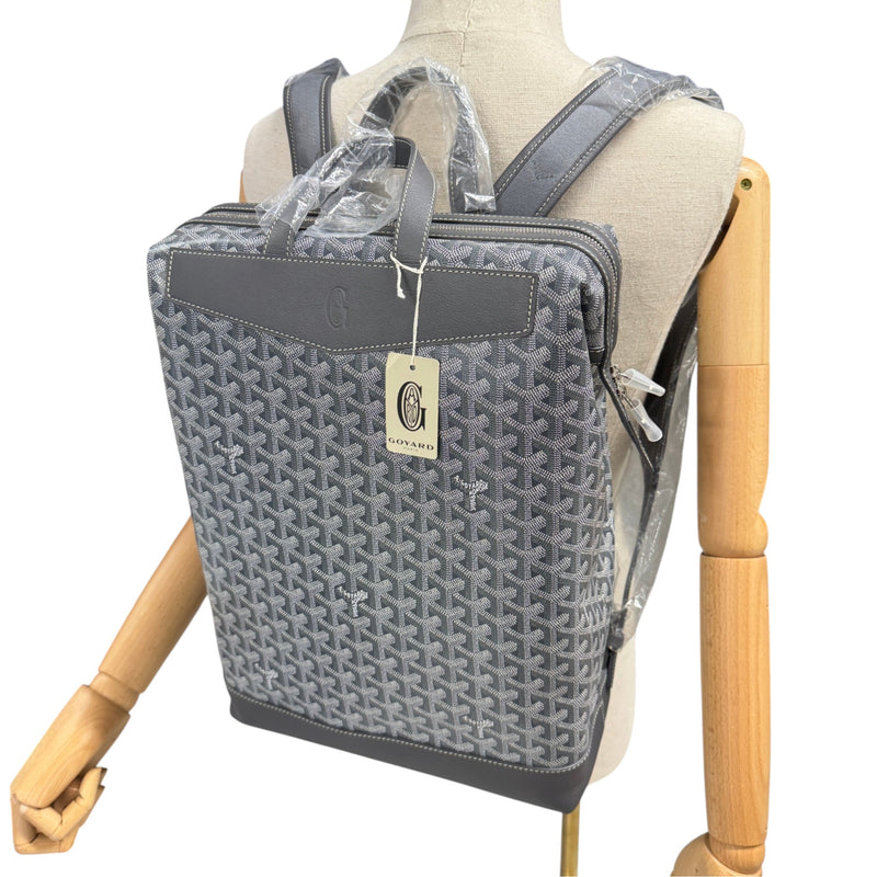 Men's Cisalpin Backpack Grey