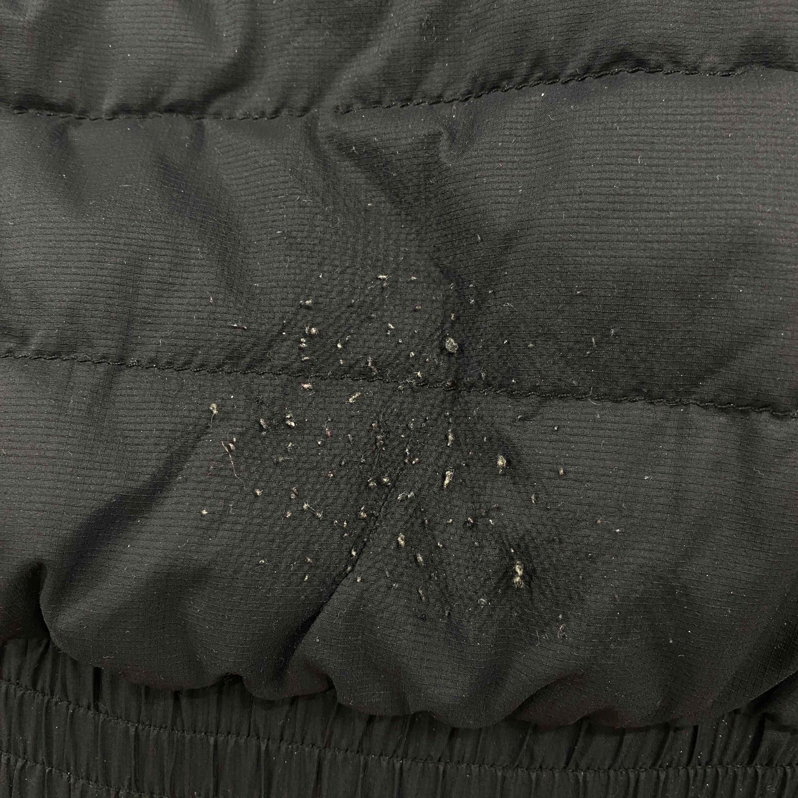 Men's Sydney Hoody Down Jacket Black Size XS - Photo 12