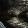 Thumbnail 15