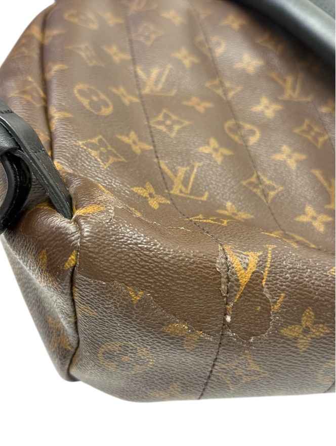 Women's Monogram Palm Springs MM Backpack Brown