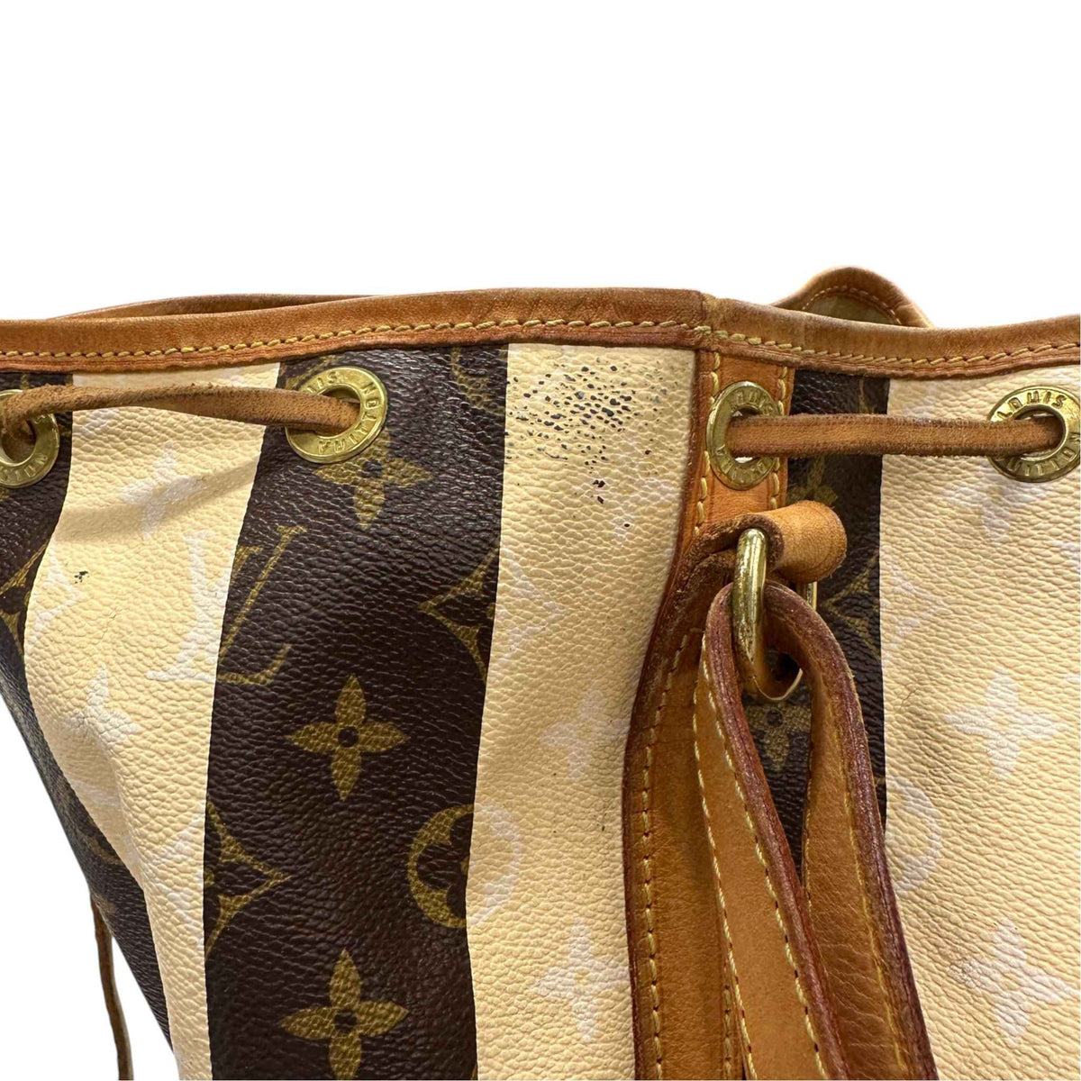 Women's Monogram Rayures Noe Handbag Brown - Photo 10