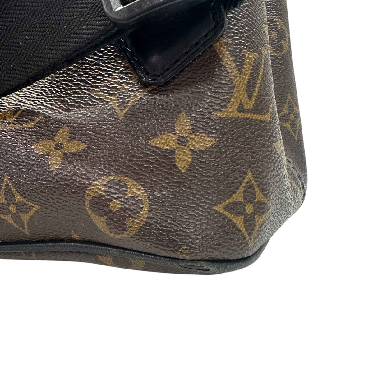 Men's Monogram Macassar Palk Backpack Brown - Photo 9