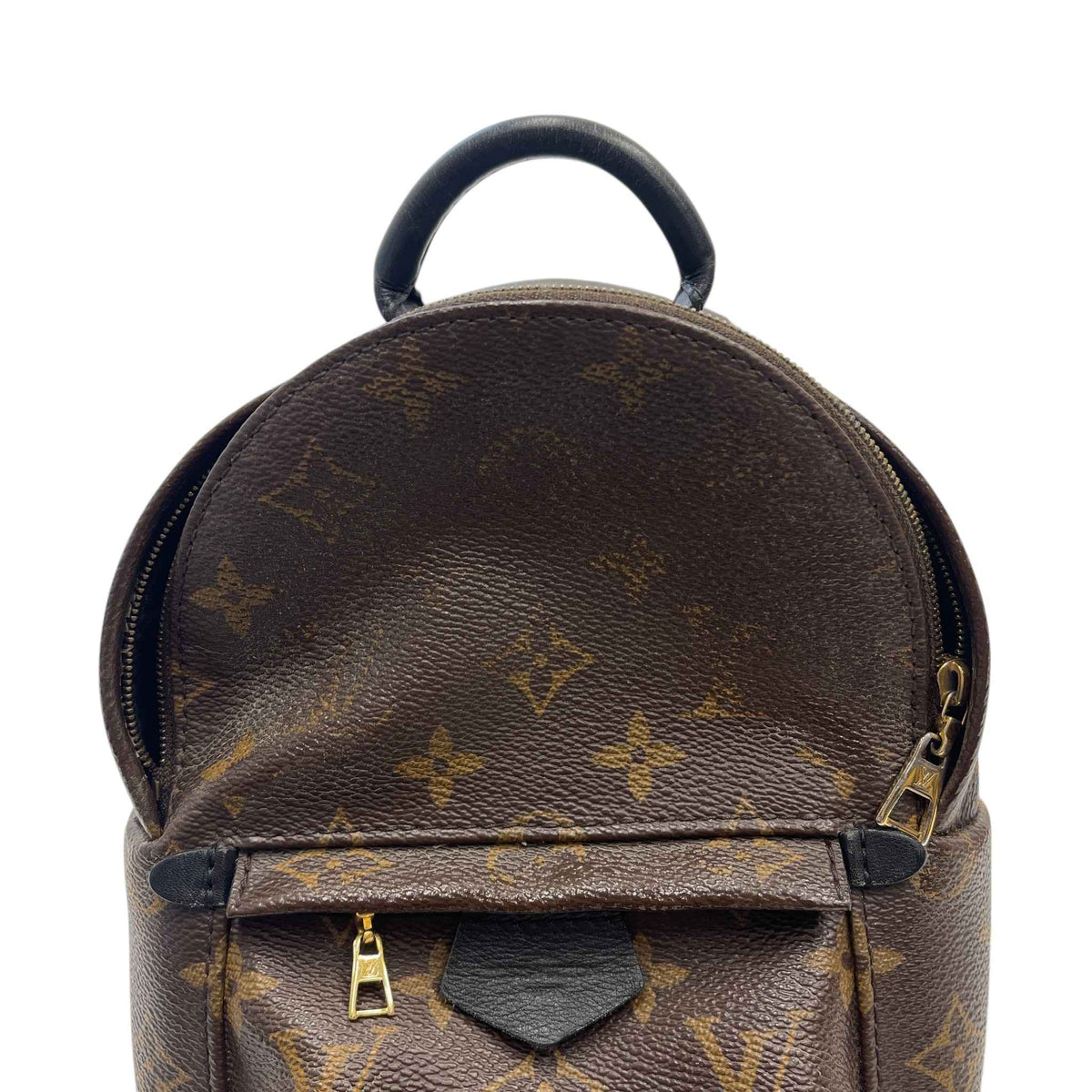 Women's Monogram Palm Springs Mini Backpack Brown - Photo 15